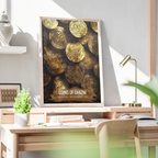 Coins of Ghazni - Afghanistan - Travel Wall Art Print - Art Print - Travel Art Poster