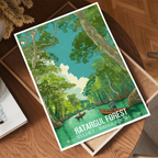 Ratargul Forest - Sylhet - Bangladesh - Travel Wall Art Print - Art Print - Travel Art Poster