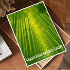 Arshiyama Bamboo Grove - Japan - Travel Art Wall Deco Poster - Art Print - Travel Art Poster